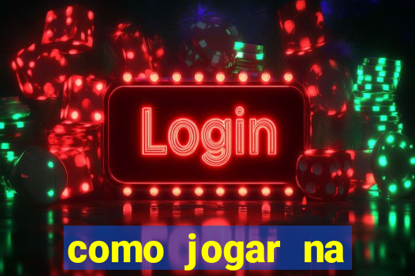 como jogar na lotinha do jogo do bicho